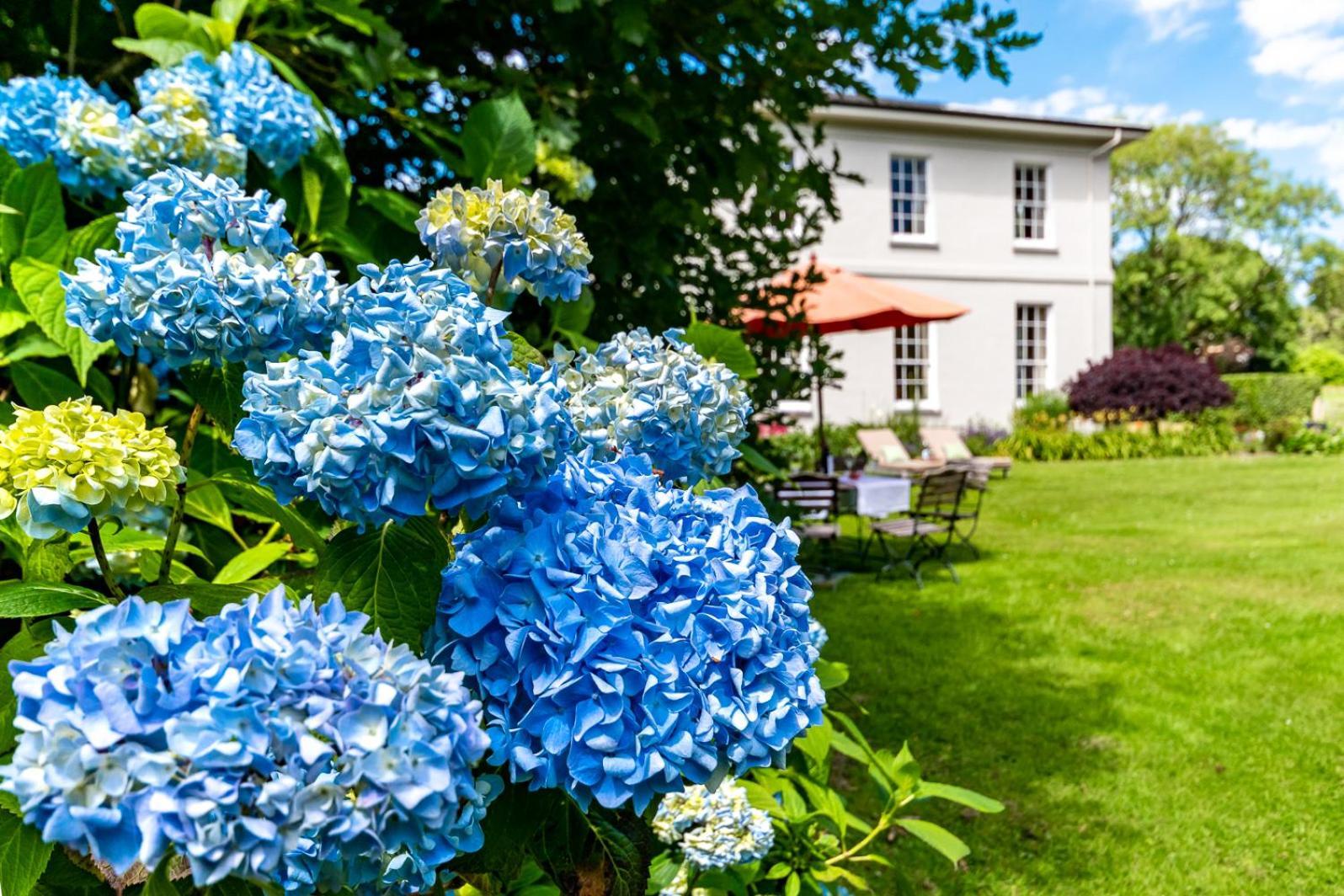 Luxury Country Mansion In West Cork Villa Bandon Exterior photo